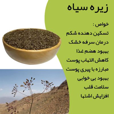 زیره سیاه_1